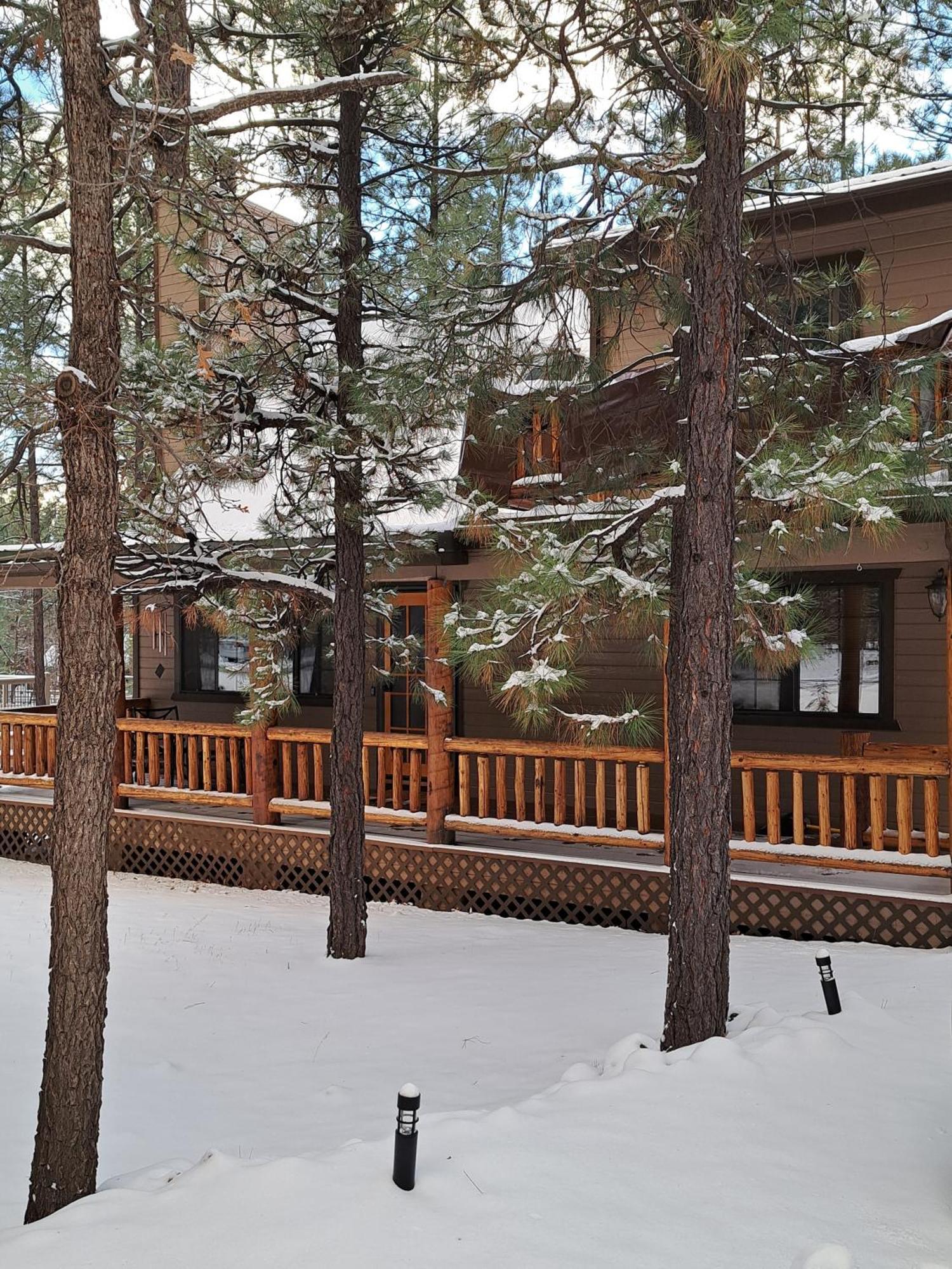 Tranquil Getaway In The Pines! W/Fire Pit & Grill! Villa Indian Pine Екстериор снимка